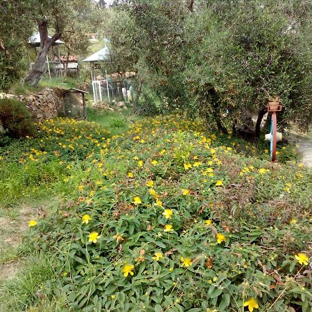 Villa Imperia אימפריה מראה חיצוני תמונה