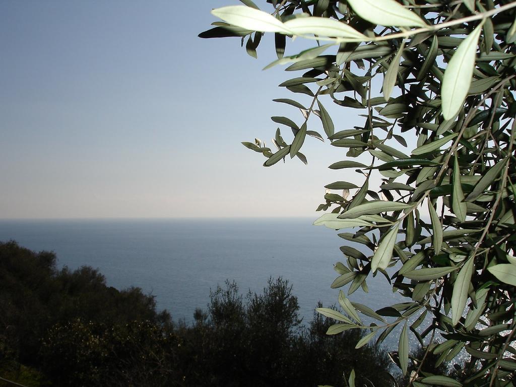 Villa Imperia אימפריה מראה חיצוני תמונה